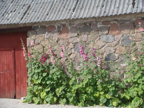 Lyngvej 16 B&B 스칸데르보르 외부 사진